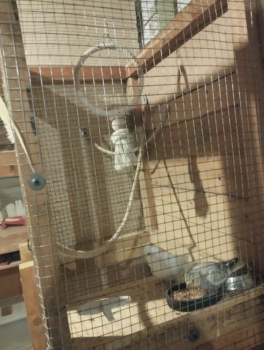 Sprzedam dużą klatkę dla gryzoni lub ptaków