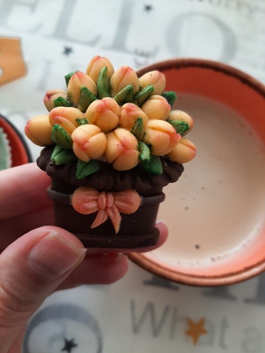 Молд силиконовый для шоколада