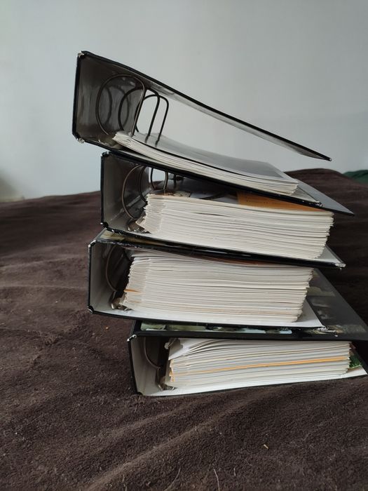 В мире дикой природы