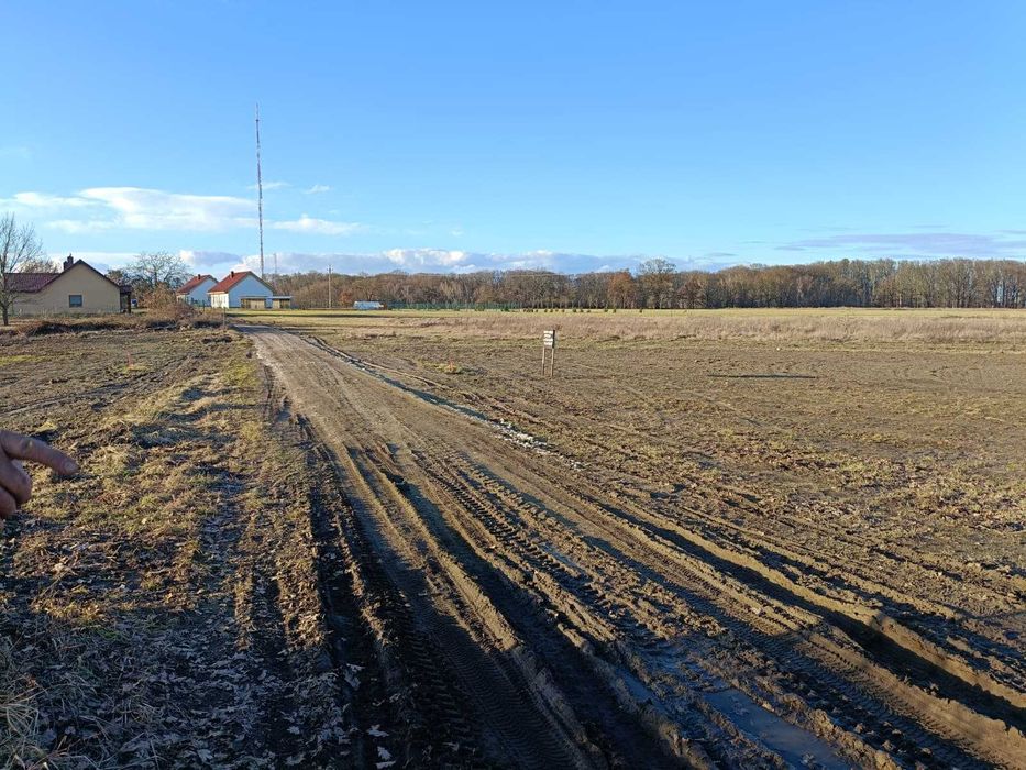 Działka budowlana w Kołowie