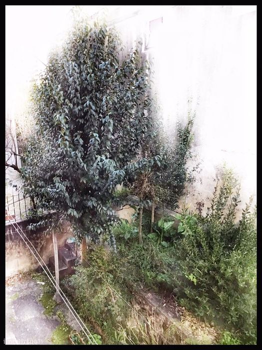 Reservado - T3 com terraço e jardim em Coimbra
