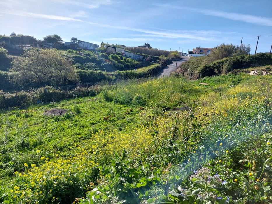 Terreno 4160M2 URBANO com licenca construçao