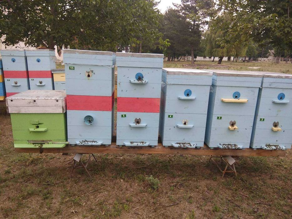 Продам вулики 10 рамок дадан