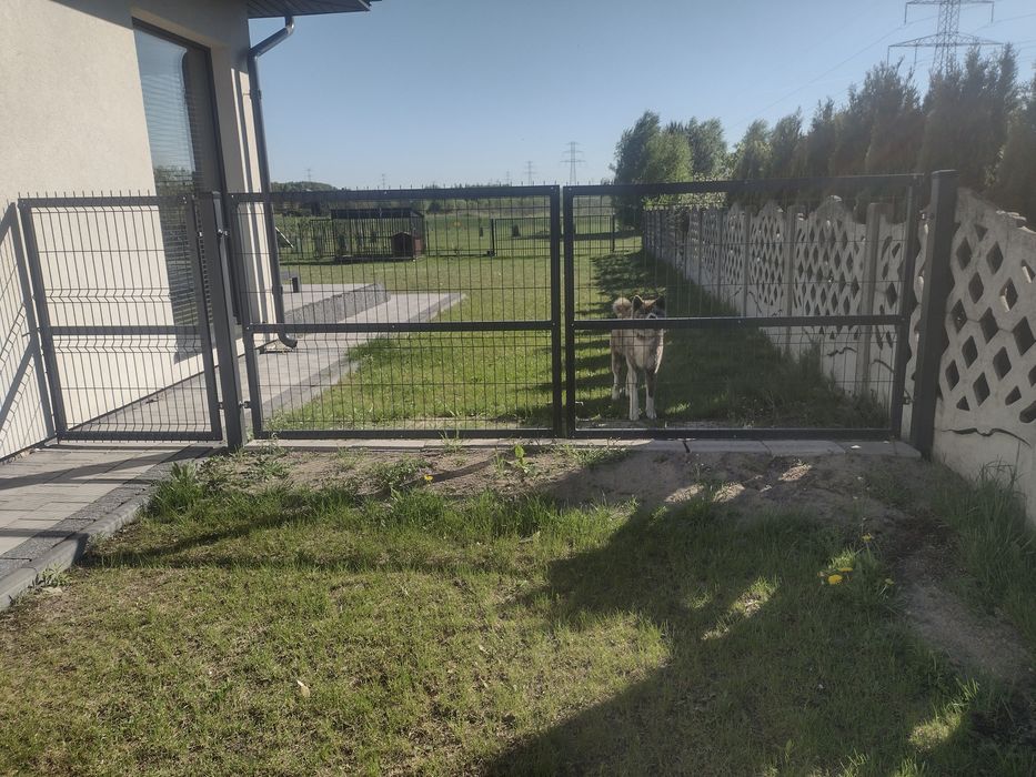 Sprzedam #Brame # Panelową