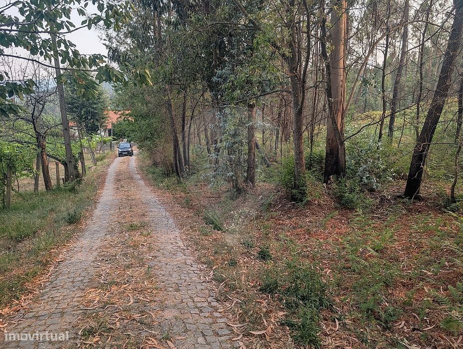 Terreno  para venda
