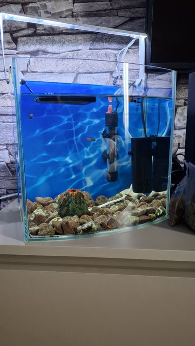 Аквариум на 20л.