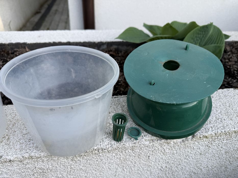 Pułapka FEROMONOWA na ĆMĘ Bukszpanową - 2 szt .