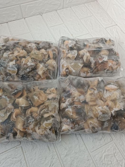 Рапан свеже-мороженный