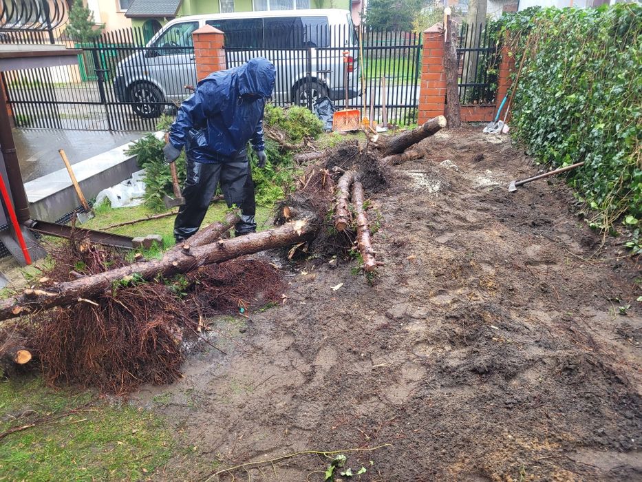 Wycinka drzew , karczowanie korzeni , ŻYWOPŁOTY-cięcie