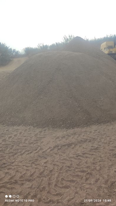 Terra vegetal para jardim