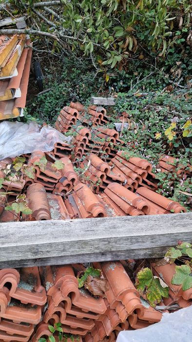 Telha de barro Coelho da Silva juncal