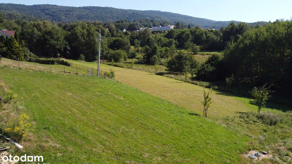 Widokowa działka budowlana w Wilkowicach 900m²z widokiem na góry i las - Widok 4