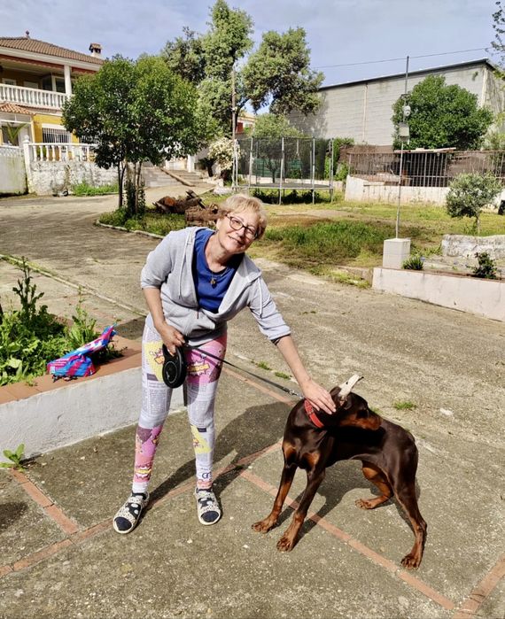 Доставка животных заграницу. Перевозка в Європу. Доставка тварин.