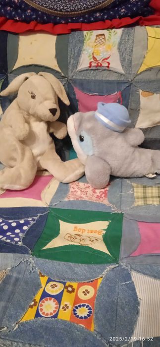 Заиц, дельфин , серые