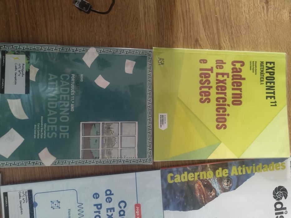 Cadernos de atividades 11º ano (física/química/filosofia/matemática A/
