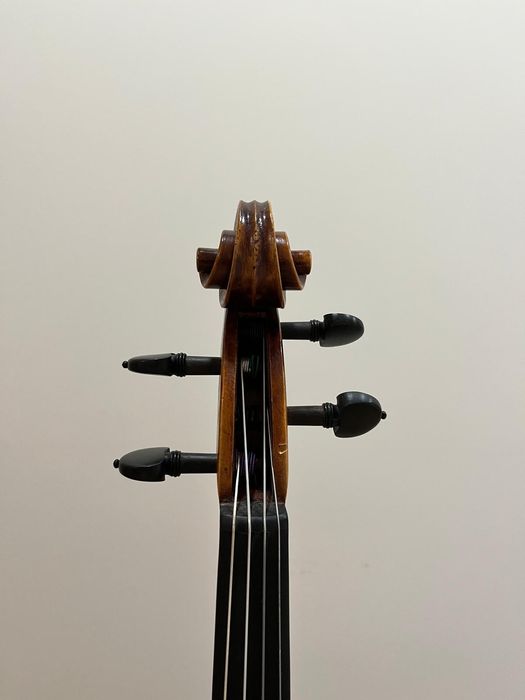 Viola d'Arco ConcertoGrosso