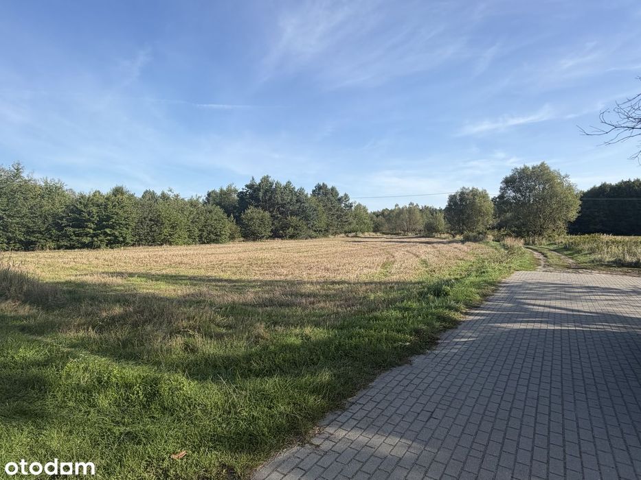 Działka budowlana Dolina Baryczy (wydane warunki zabudowy) 0,25 ha