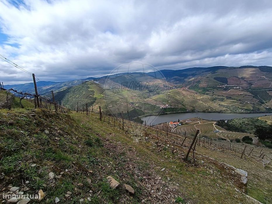 Terreno  para venda