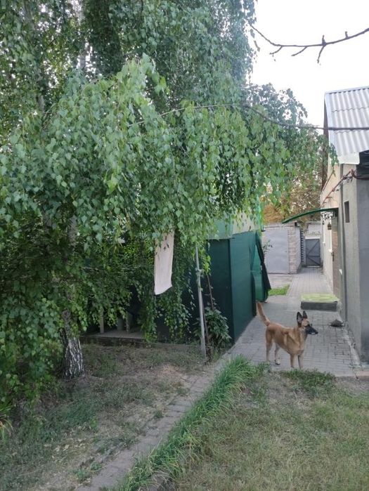 Сдается пол дома. Шевченковский