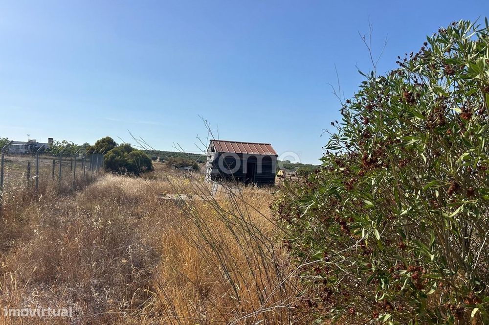 Rustic Land Plot – Near Pias