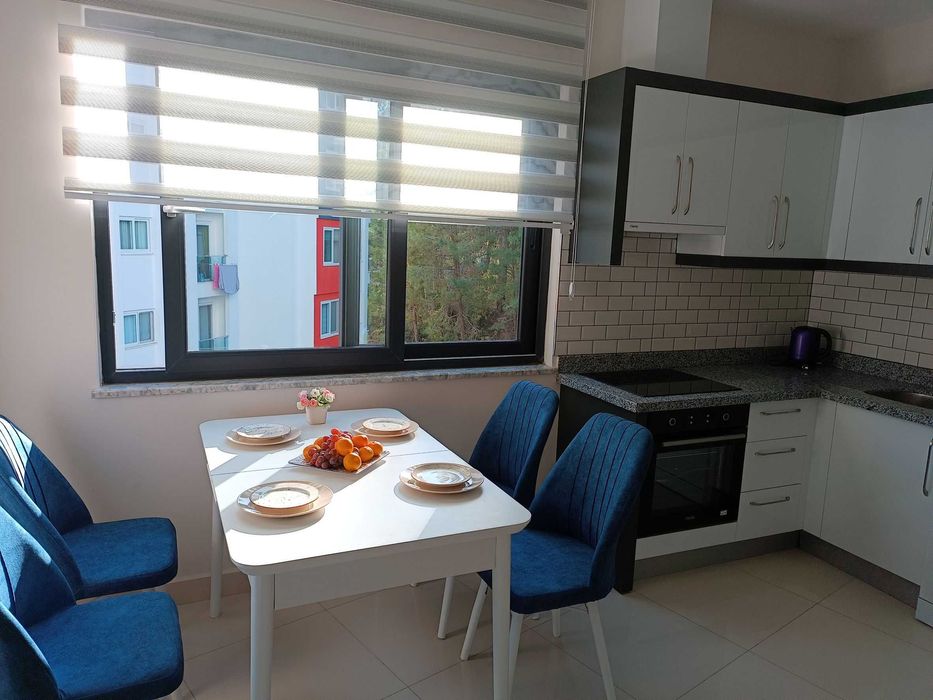 Встречаем Новый Год в сосновом лесу рядом с пляжем Инжекум в  Алании