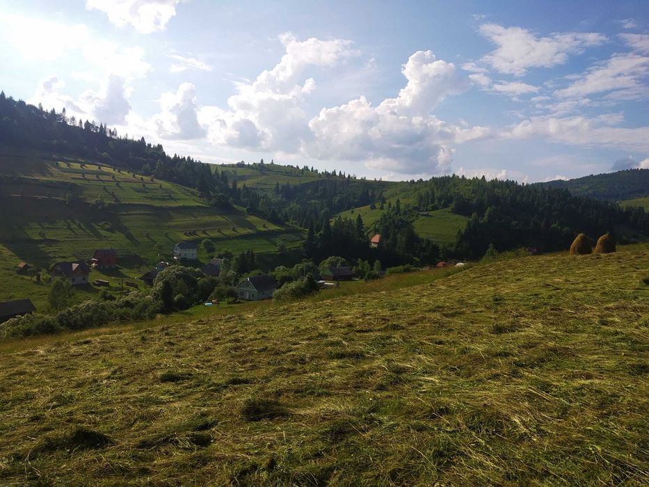 Продається земельна ділянка в Карпатах, с. Плав'я