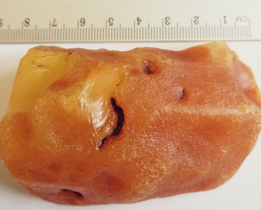 Bursztyn surowy bałtycki 57, 6g  (B7)