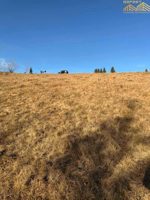Дземброня. Верховинський район. Нерухомість. Земля. Карпати. 50сотих