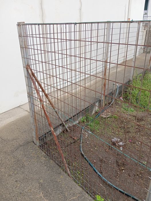 Grade mais casota mais cobertura para o seu cão