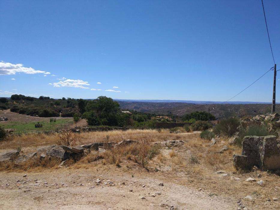 Terreno em Cinco Vilas 2428m2 - Fig Castelo Rodrigo/Guarda