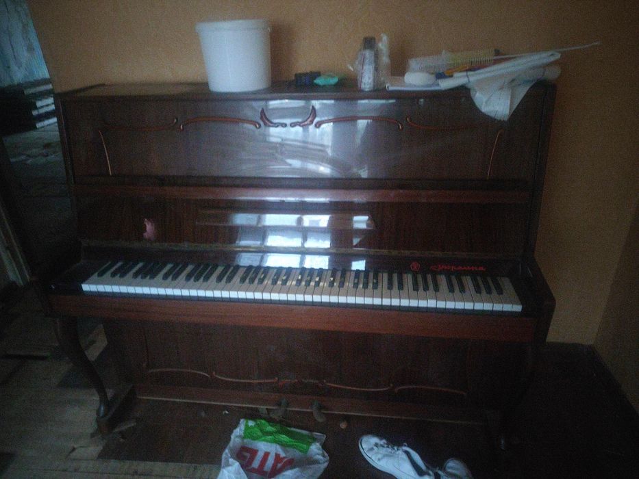 Музичний інструмент