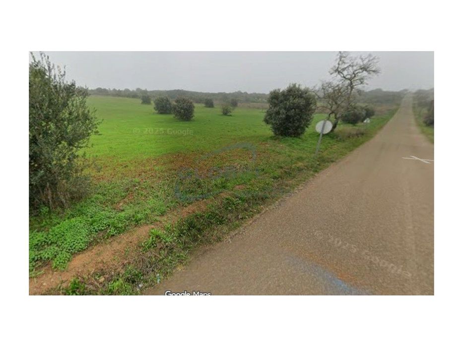 Terreno Rústico com 1,9 ha em Arieiro - Almoster- Santarém