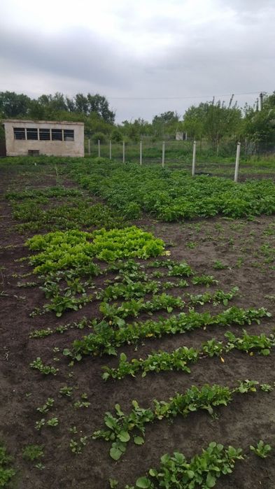 Продам дачу, 2 участка 20 соток с сезонными домиками