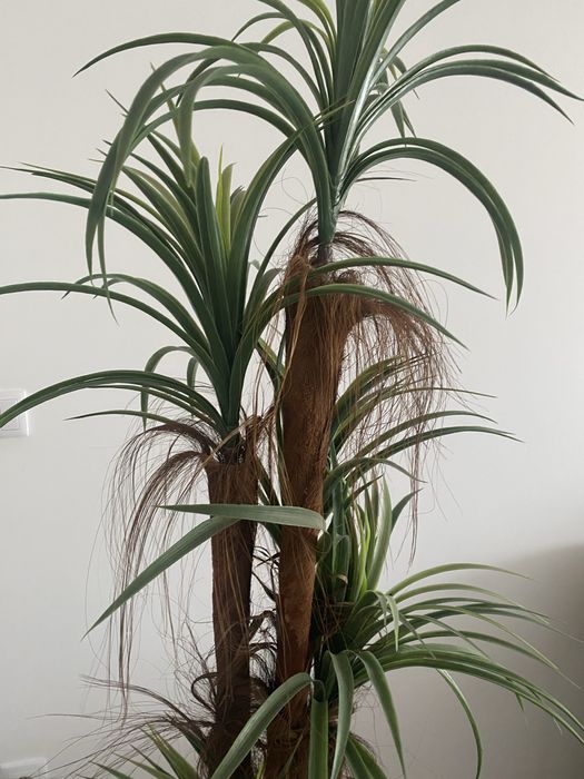 Vaso com planta artificial