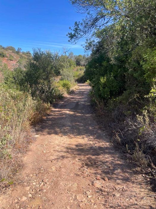 Terreno Rústico à Venda em Fonte da Benevola