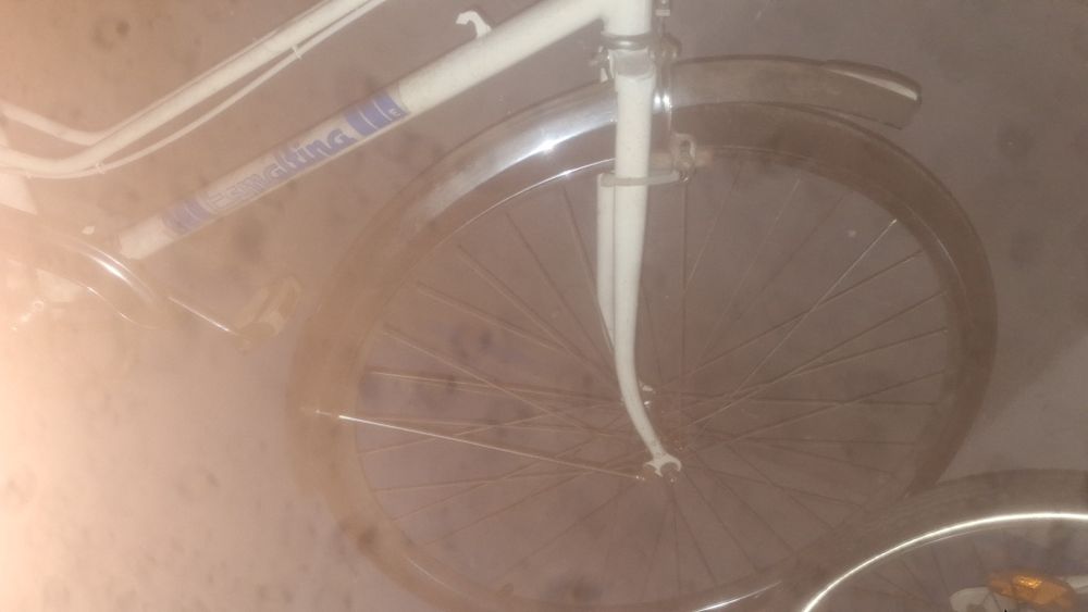 Bicicleta pasteleira ESMALTINA