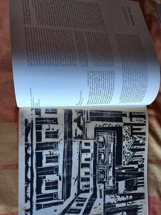 Livro Gravura arte brasileira do sec xx