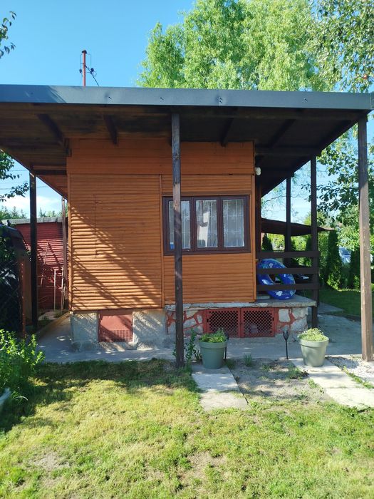 Zadbana działka ROD