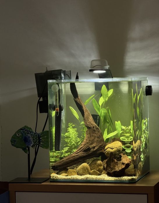 Aquario com luz - 30cm x 30cm x 35cm