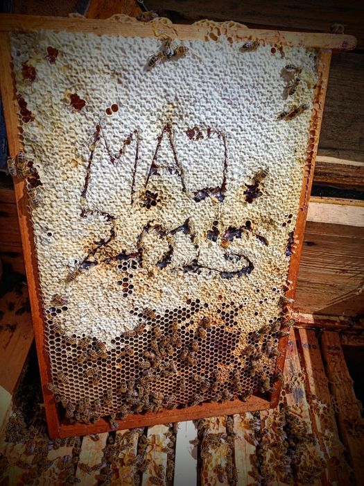 Miód wielokwiatowy i inne 2025 z Polskiej pasieki