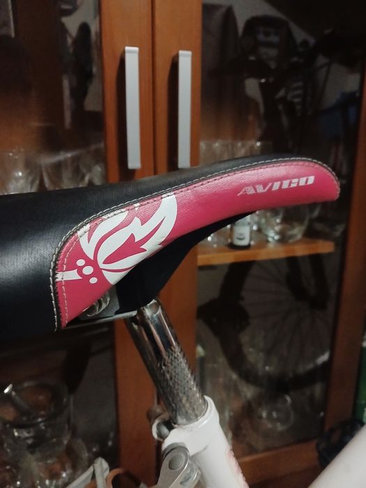 Bicicleta Stylin 24