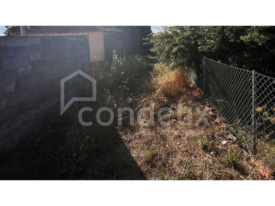 Propriedade madeirense com ruínas históricas em pedra e terreno - P...