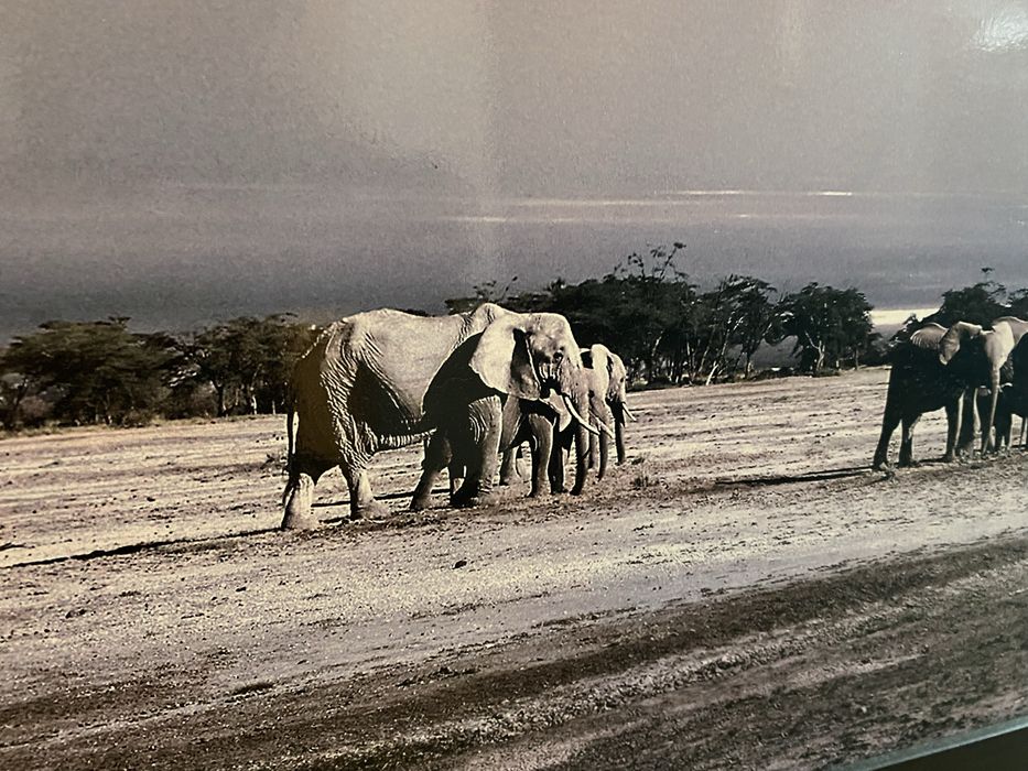 Obraz w ramie 160x60 cm