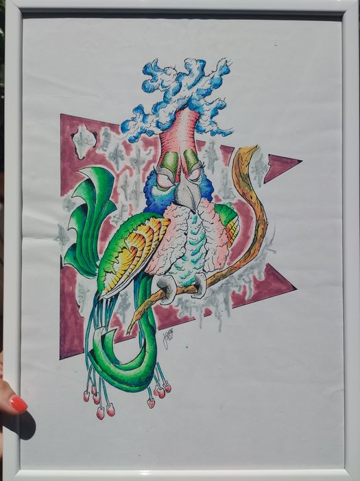 dois quadros "papagaios" pintados a mão, assinados