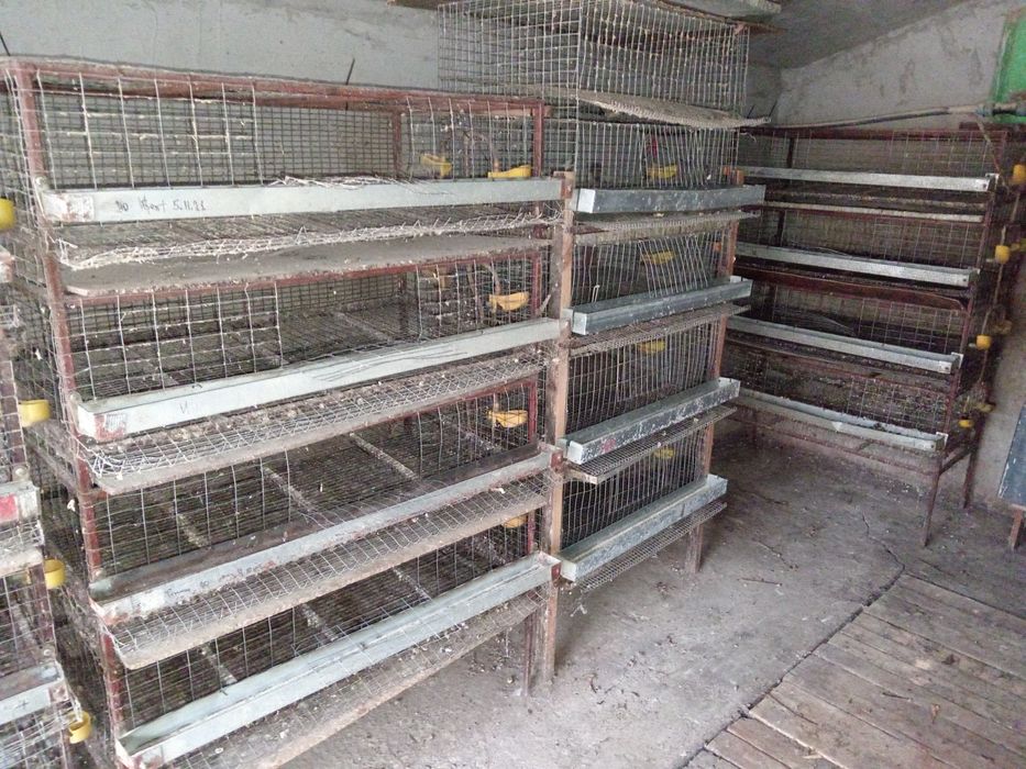 Продам Б/У клетки для перепелов.