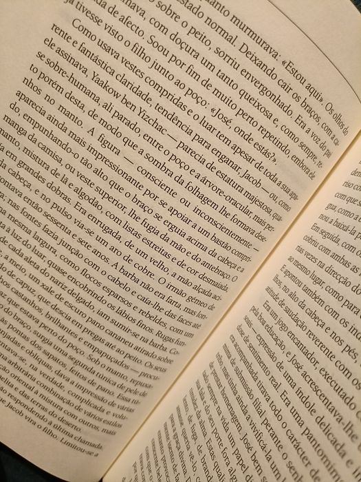 José e os Seus Irmãos - Thomas Mann