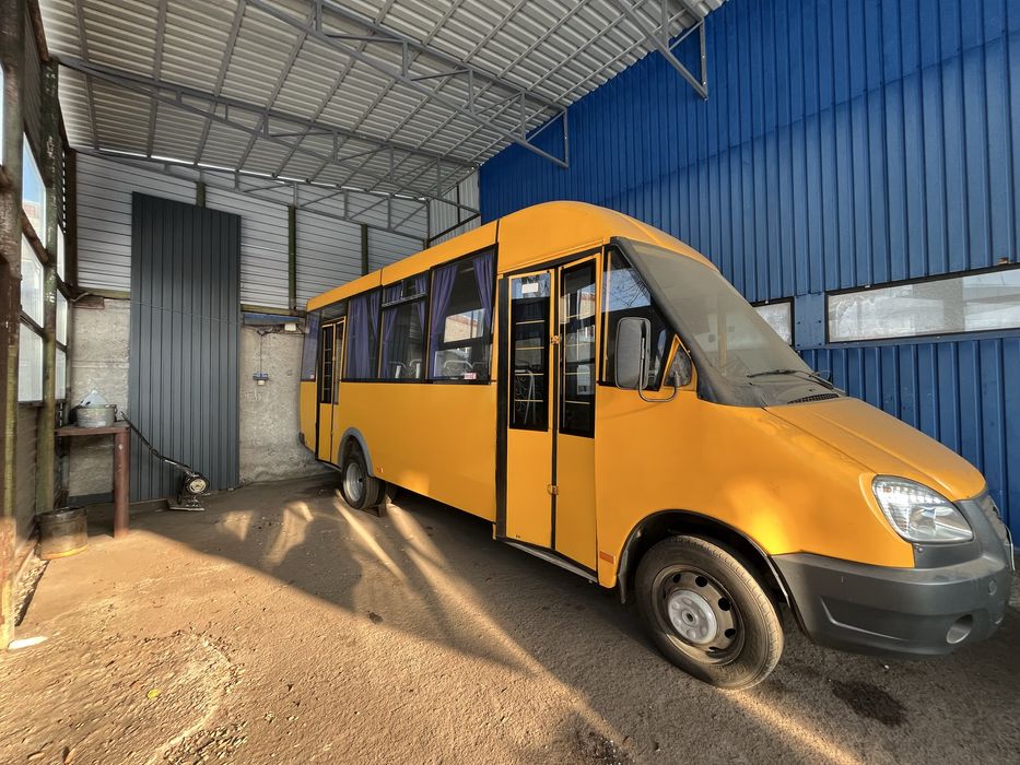 Рута 25 в отличном состоянии