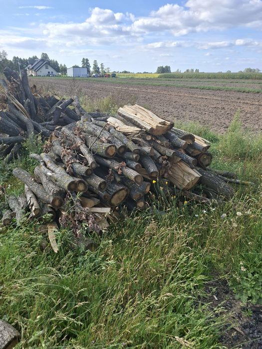 Dąb opalowe kominkowe