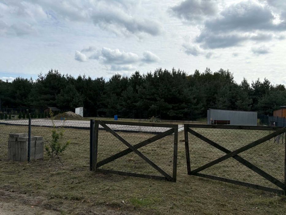 Zdjęcie 4