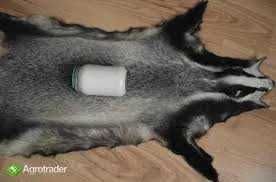 Smalec/sadło z borsuka 100 procent bez dodatków od myśliwego